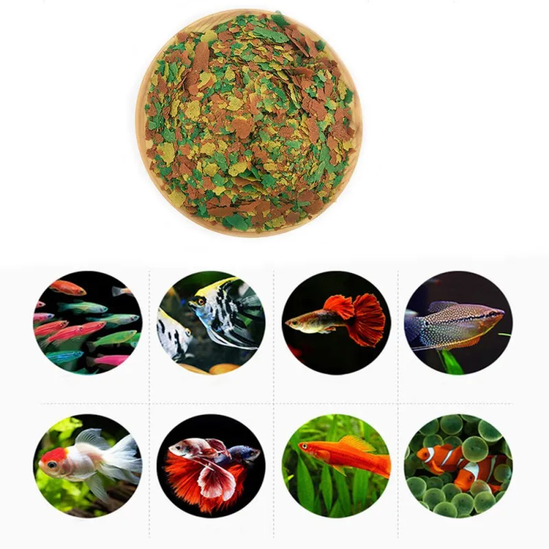 อาหารปลาแบบเกล็ด สูตรใหม่ บำรุ - Health Wellness Items บทวิจารณ์และราคา