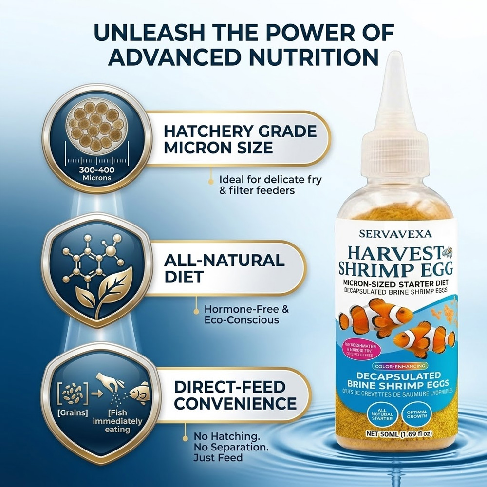 อาหารปลาโปรตีนสูงสำหรับปลากัด  - Health Wellness Items บทวิจารณ์และราคา